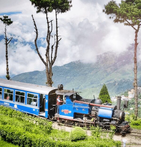 Darjeeling Toy Train