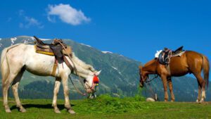 Gulmarg Horse Riding