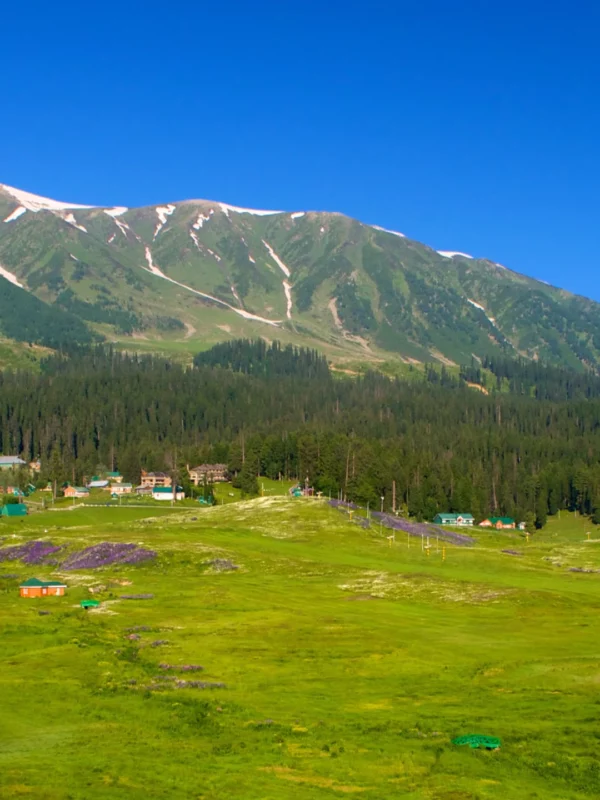 Gulmarg view