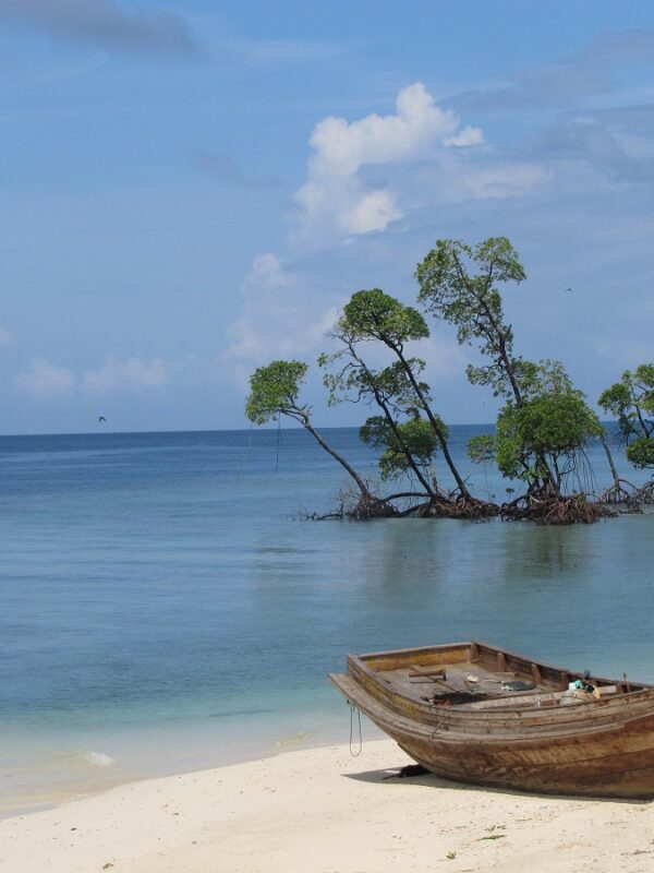 Andaman - Havelock Island