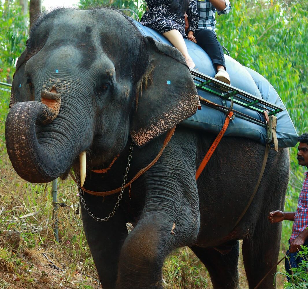 Kerala