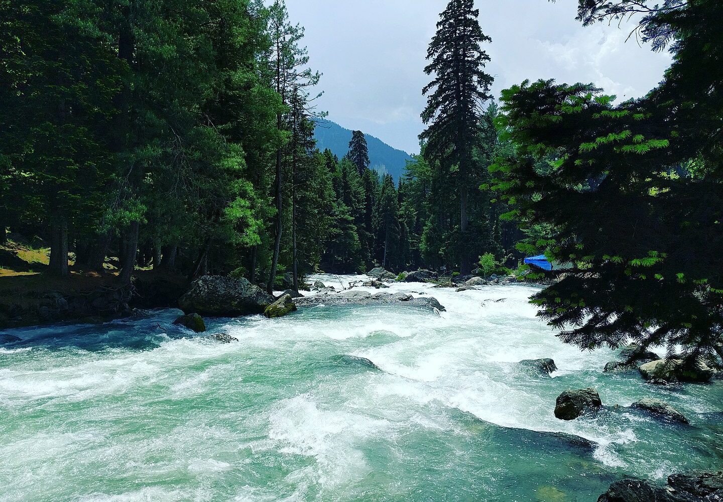 Liddar River Jhelum Pahalgam