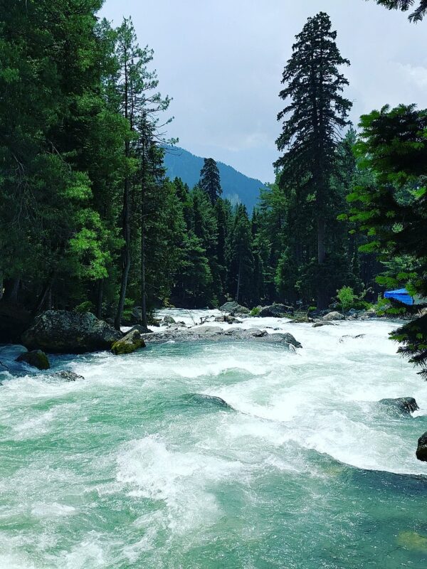 Liddar River Jhelum Pahalgam