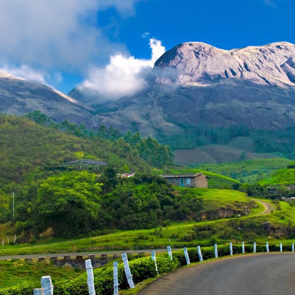 Munnar hillstation kerala