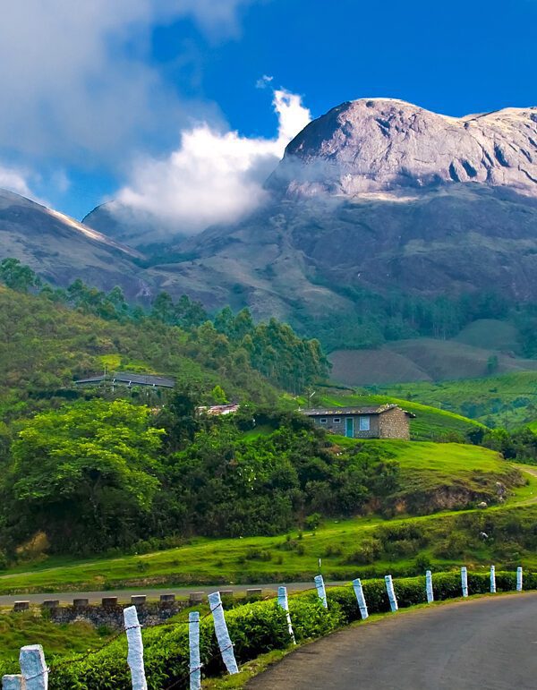 Munnar hillstation kerala