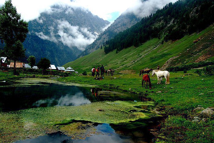 Sonamarg Valley